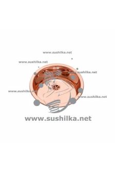 Rerih Polaris Copper ∅ 435