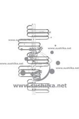 RIO 700x1575 Грота (GROTA), полированный / матовый 