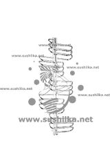 RIO 700x975 Грота (GROTA), полированный / матовый